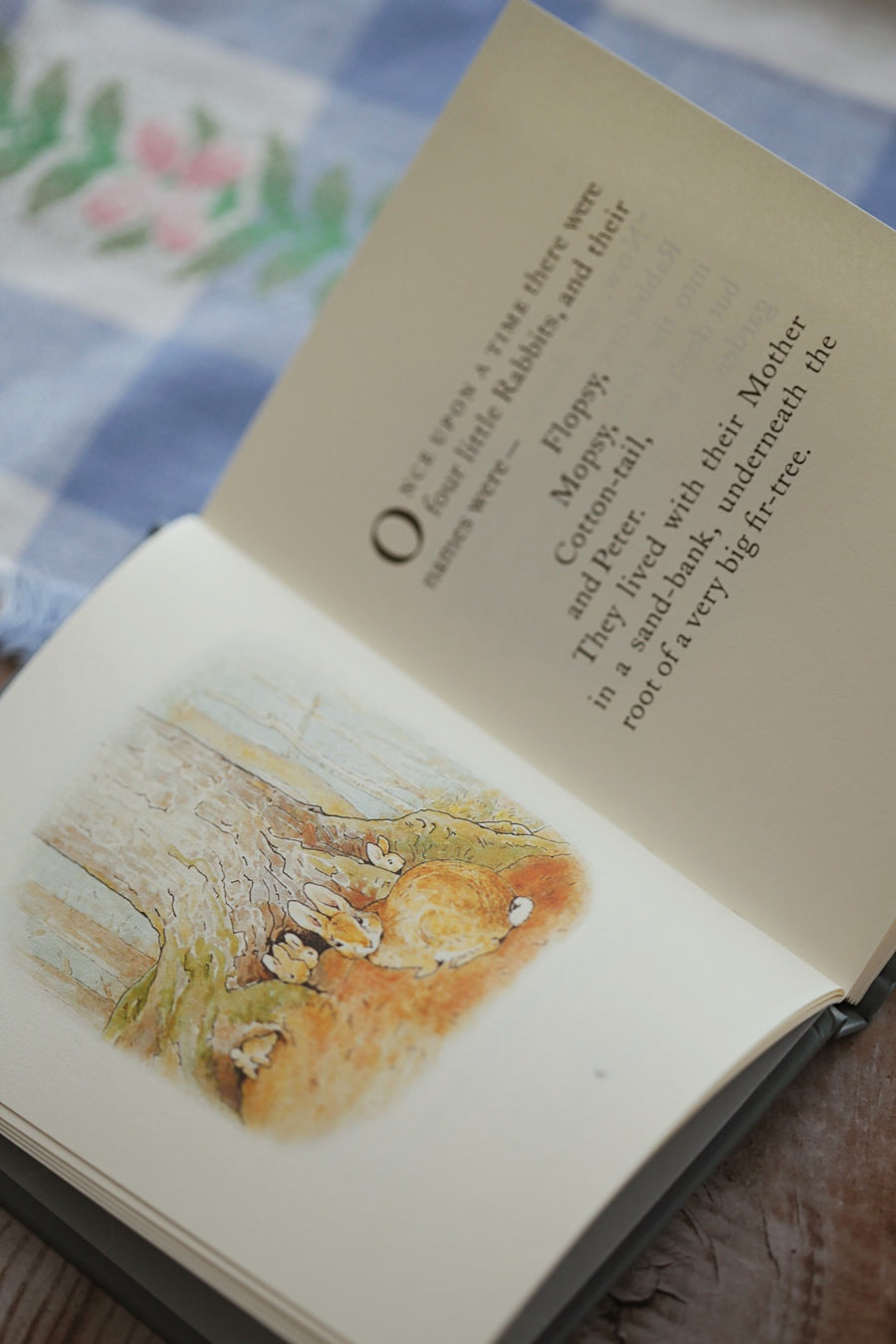 The Tale of Peter Rabbit