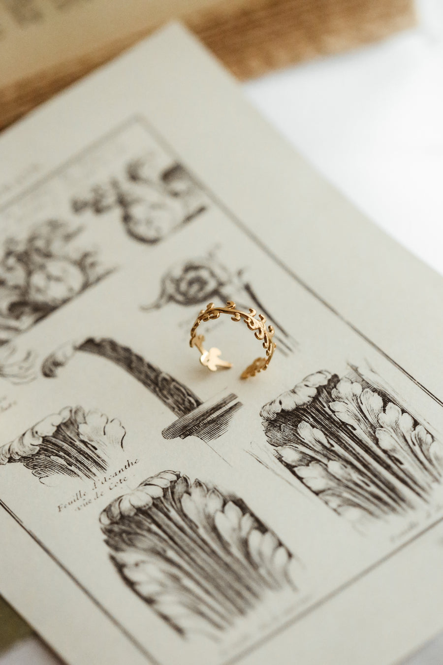 Laurentia Ring