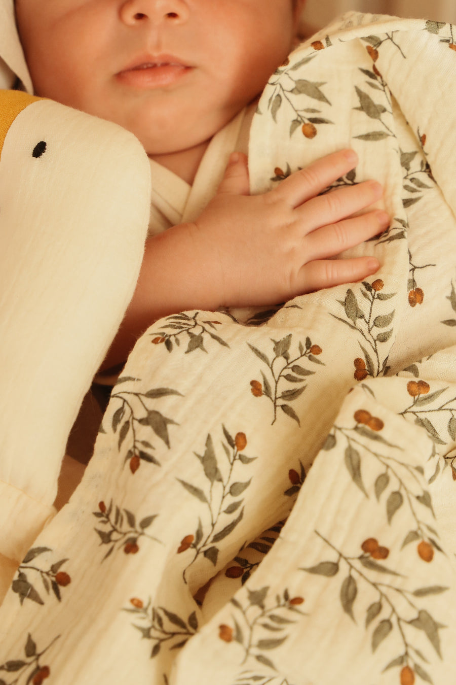 Olive Muslin Set - Bib & Swaddle