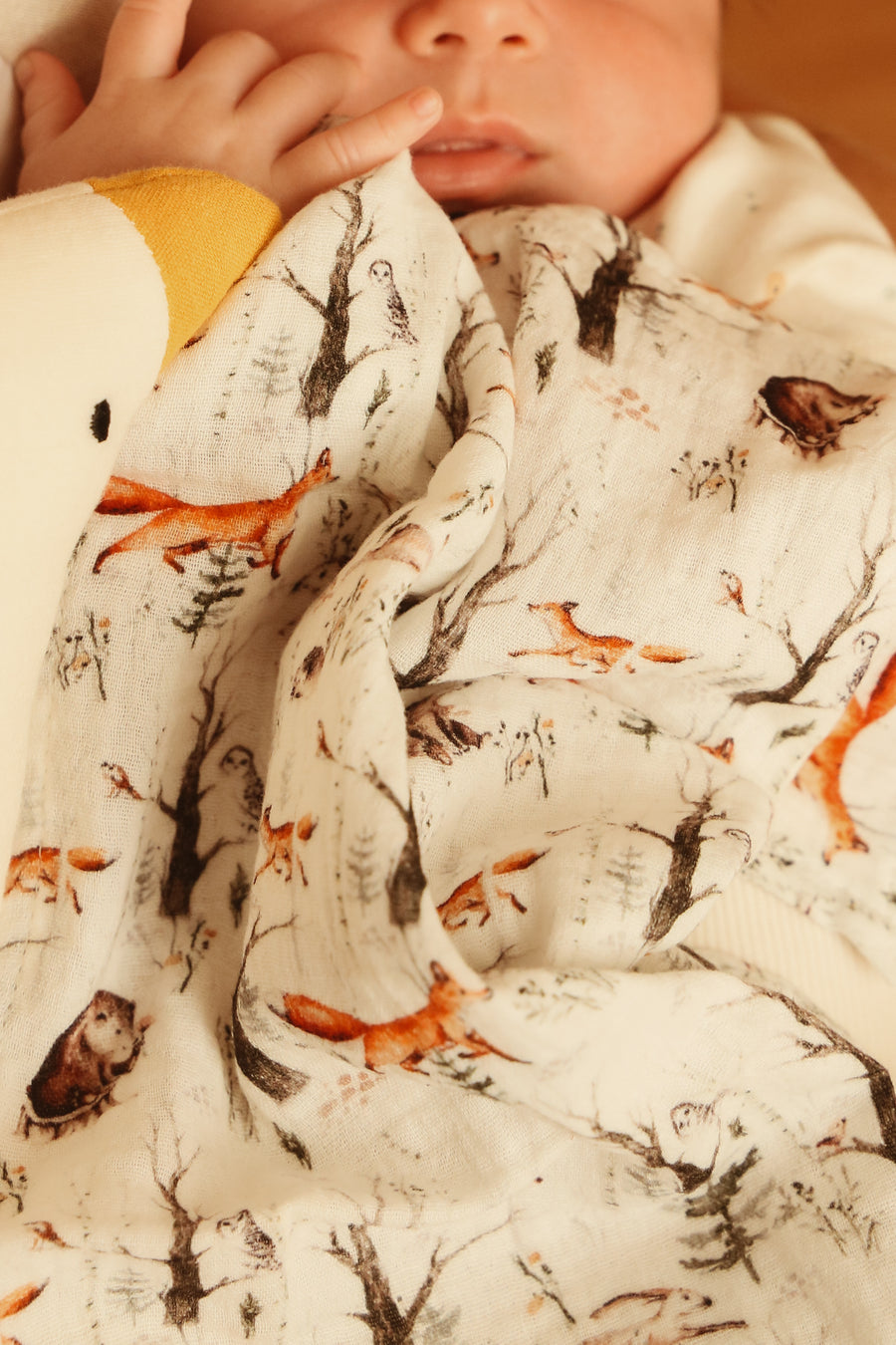 Mini Muslin Set - Forest