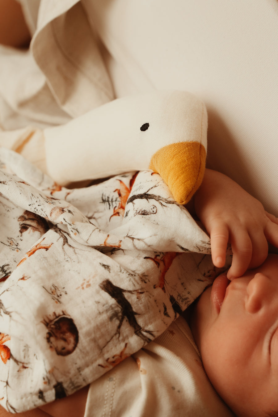 Comfort Muslin Goose