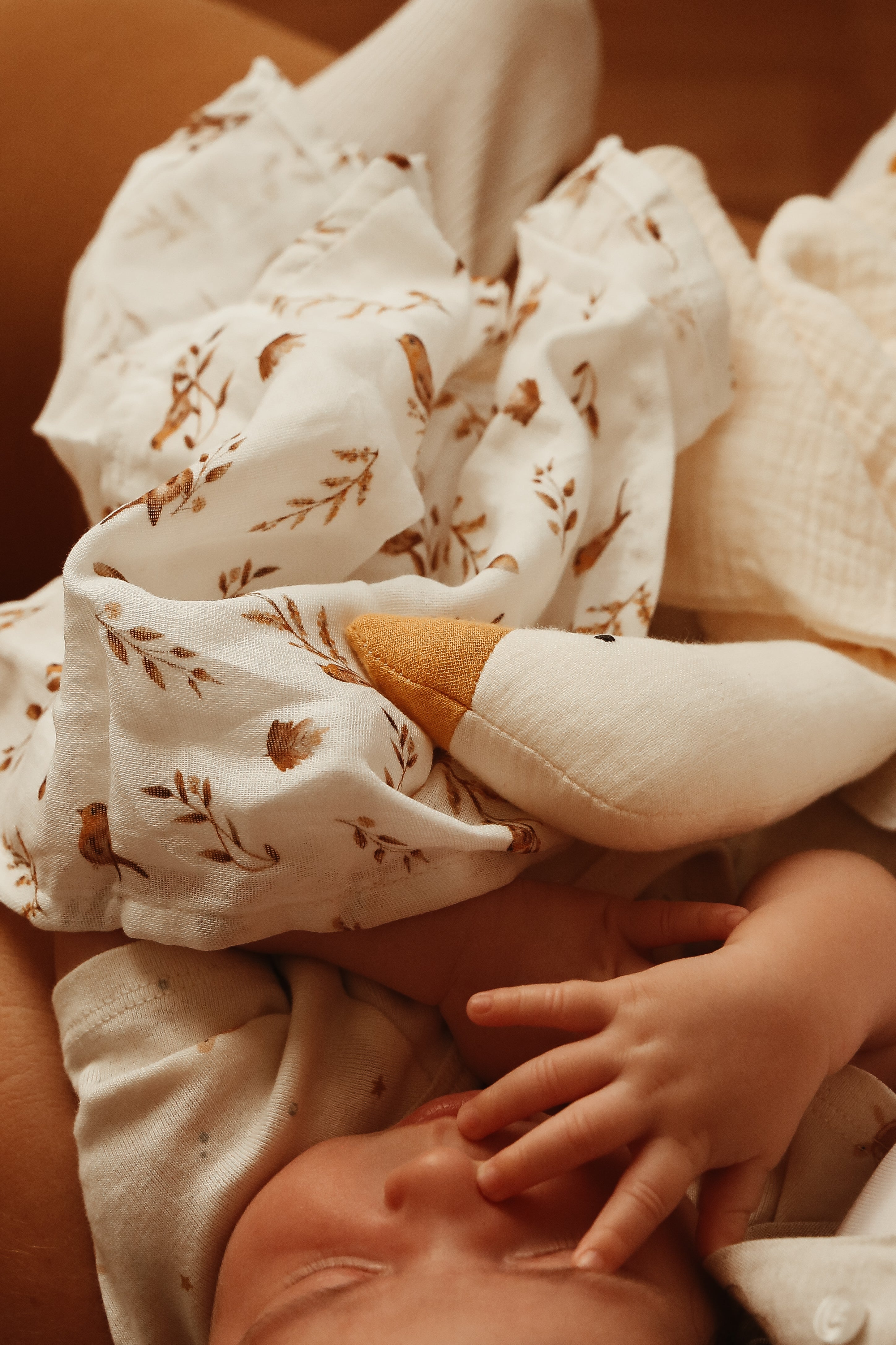 Mini Muslin Set – Robin