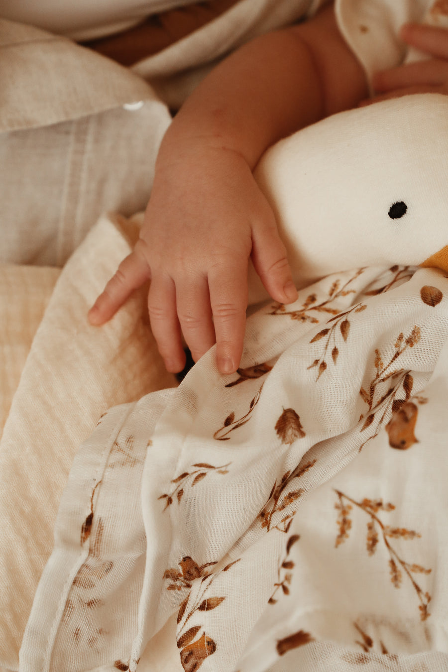 Mini Muslin Set – Robin