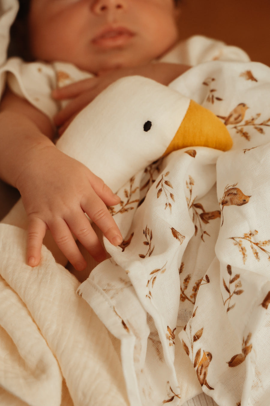 Mini Muslin Set – Robin
