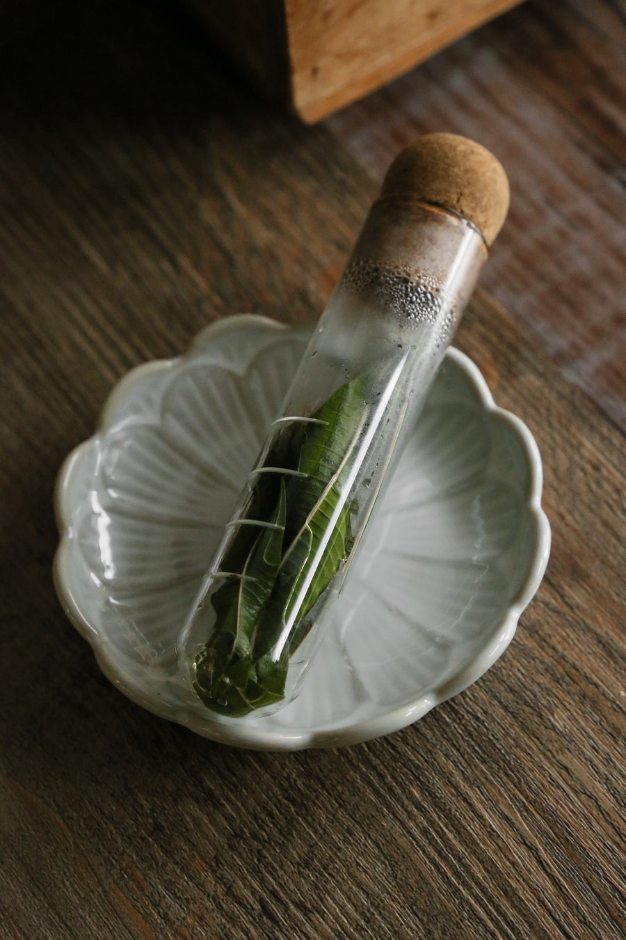 Glass tea infuser
