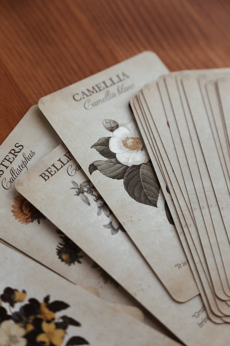 Botanical Cards