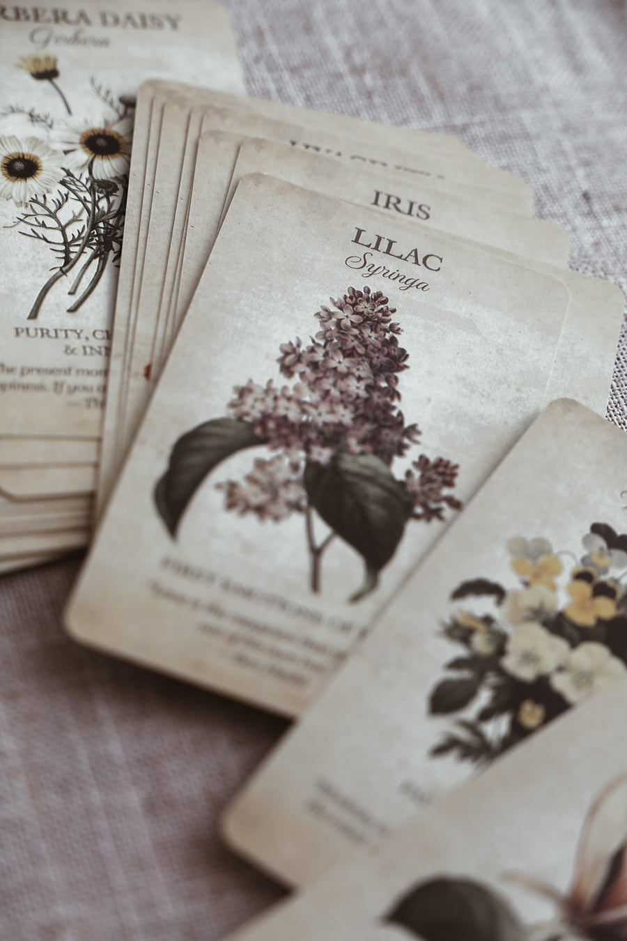 Botanical Cards