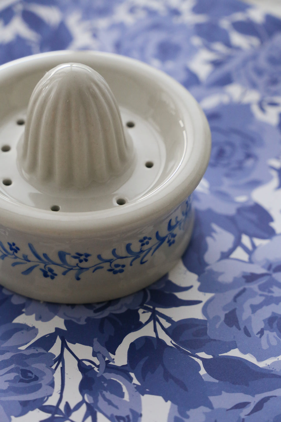 Vintage Citrus Juicer - Hand Painted