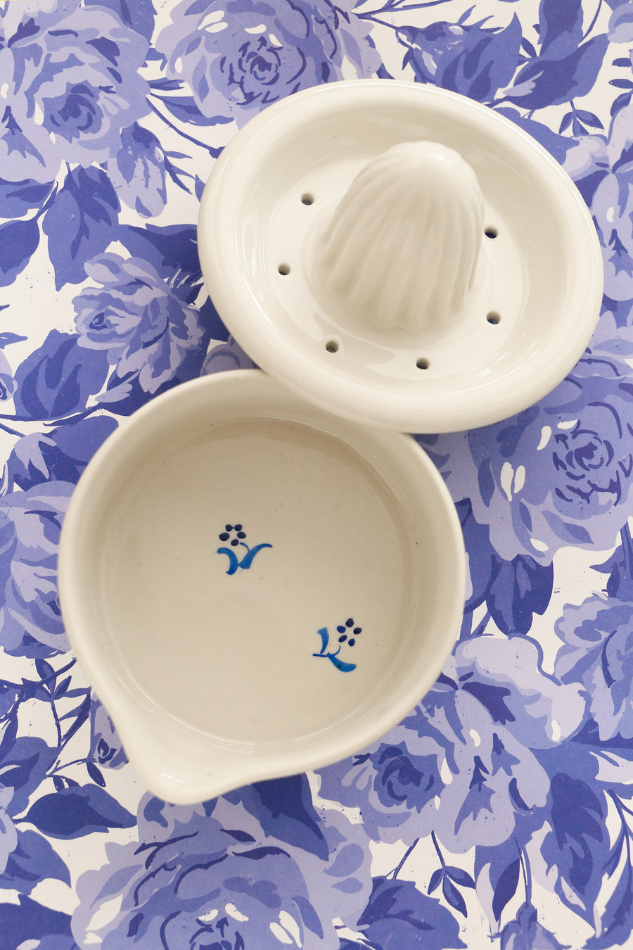 Vintage Citrus Juicer - Hand Painted