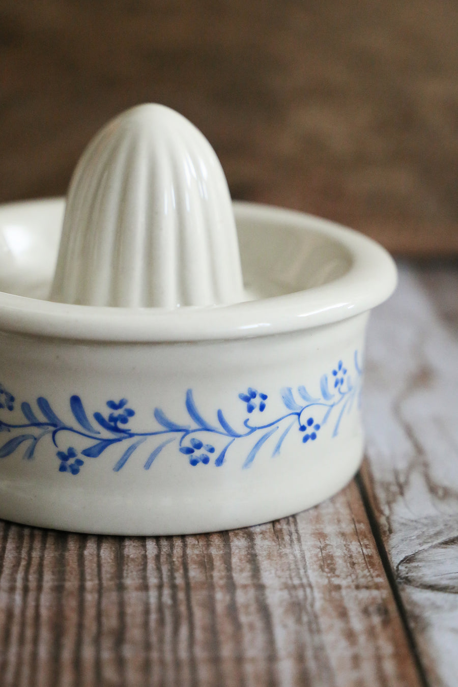 Vintage Citrus Juicer - Hand Painted