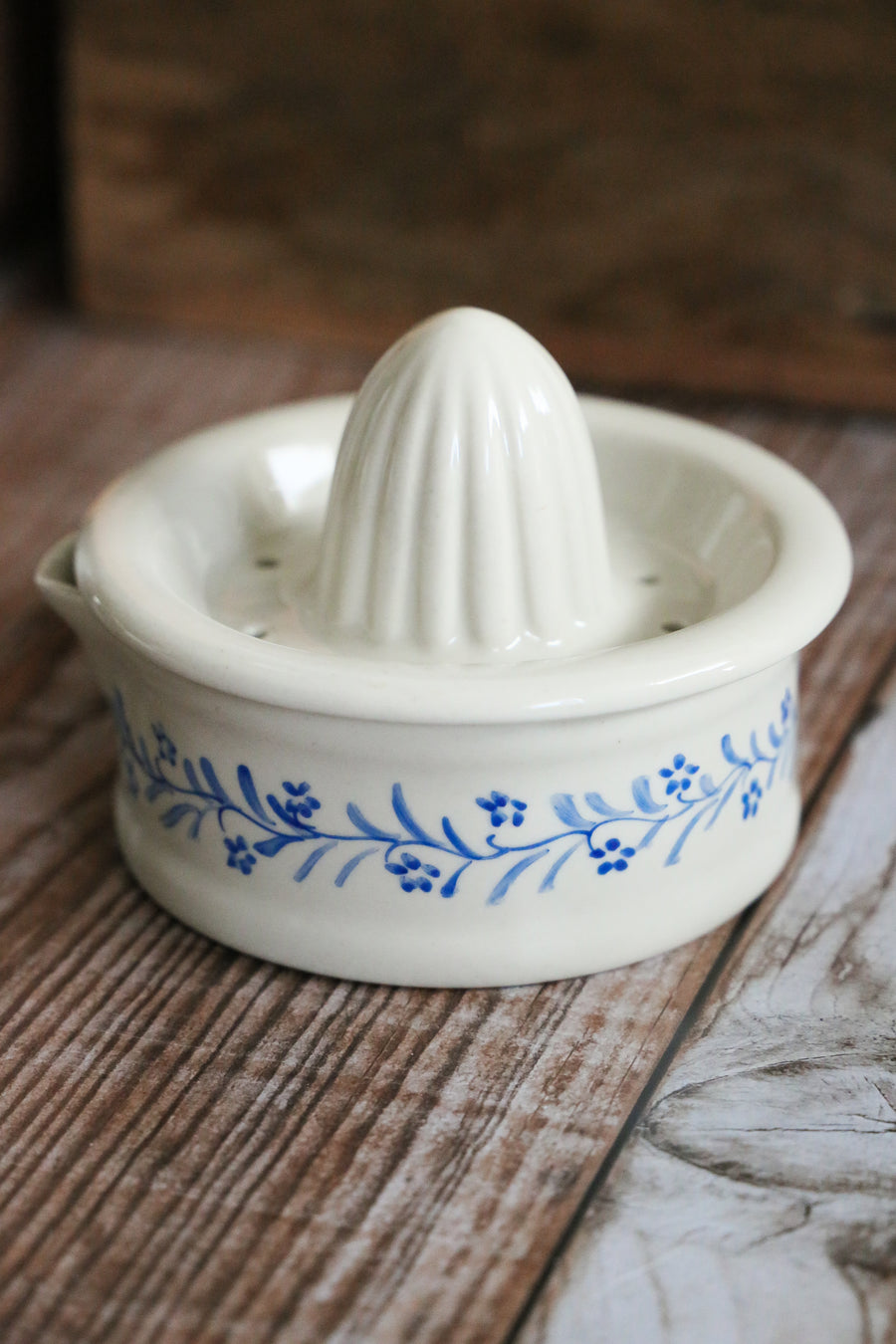 Vintage Citrus Juicer - Hand Painted