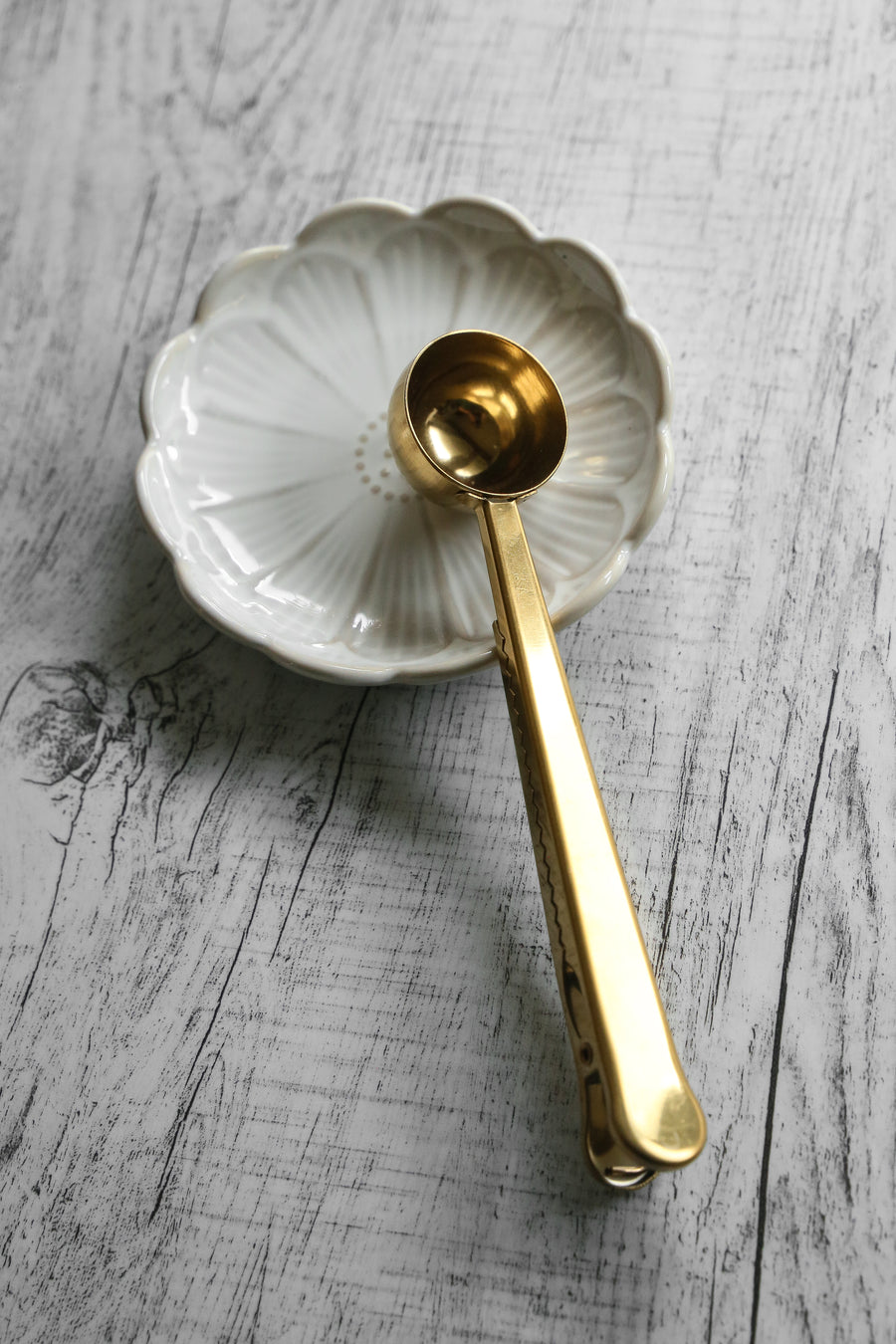 Coffee Scoop & Clip