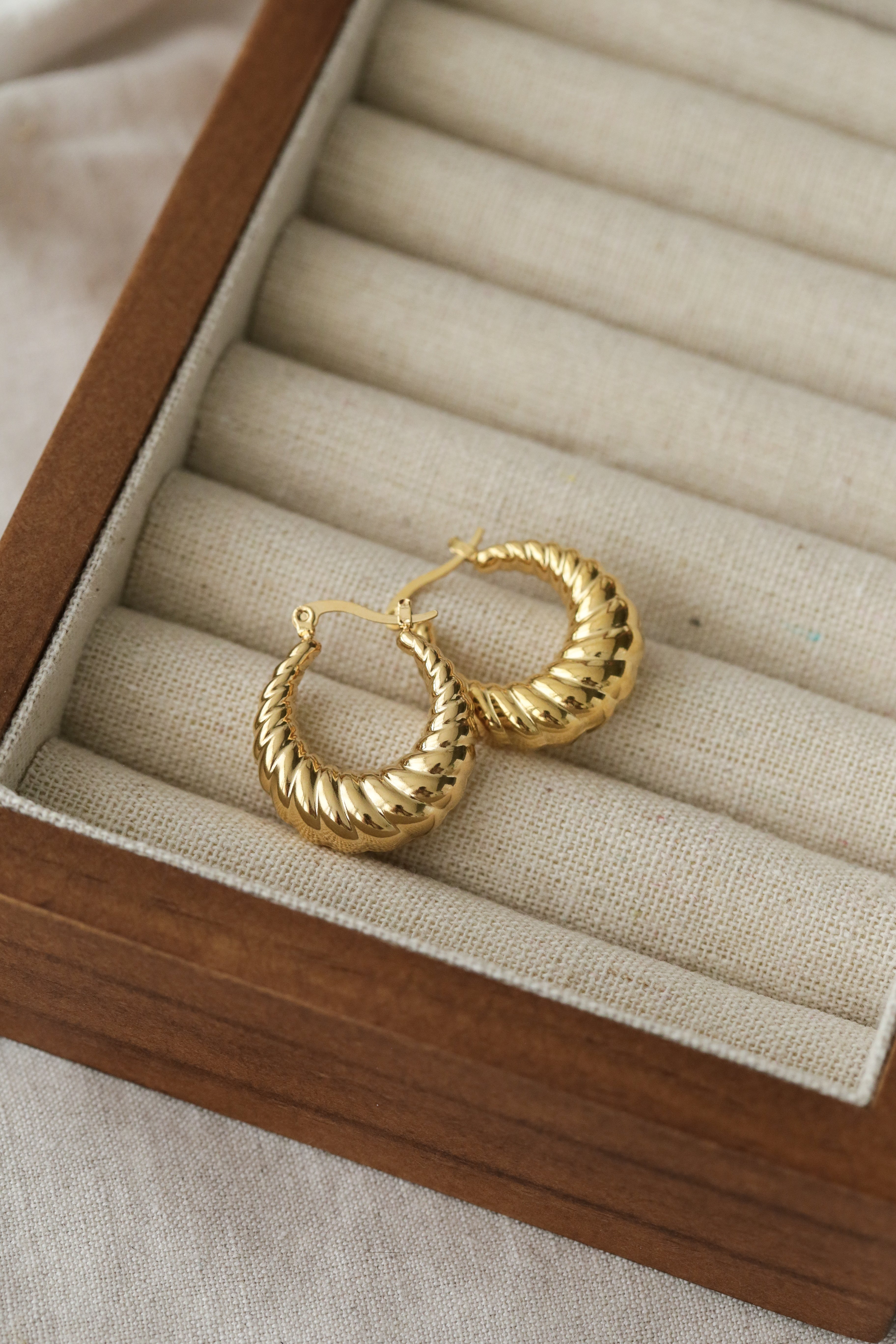 Diane Hoop Earrings