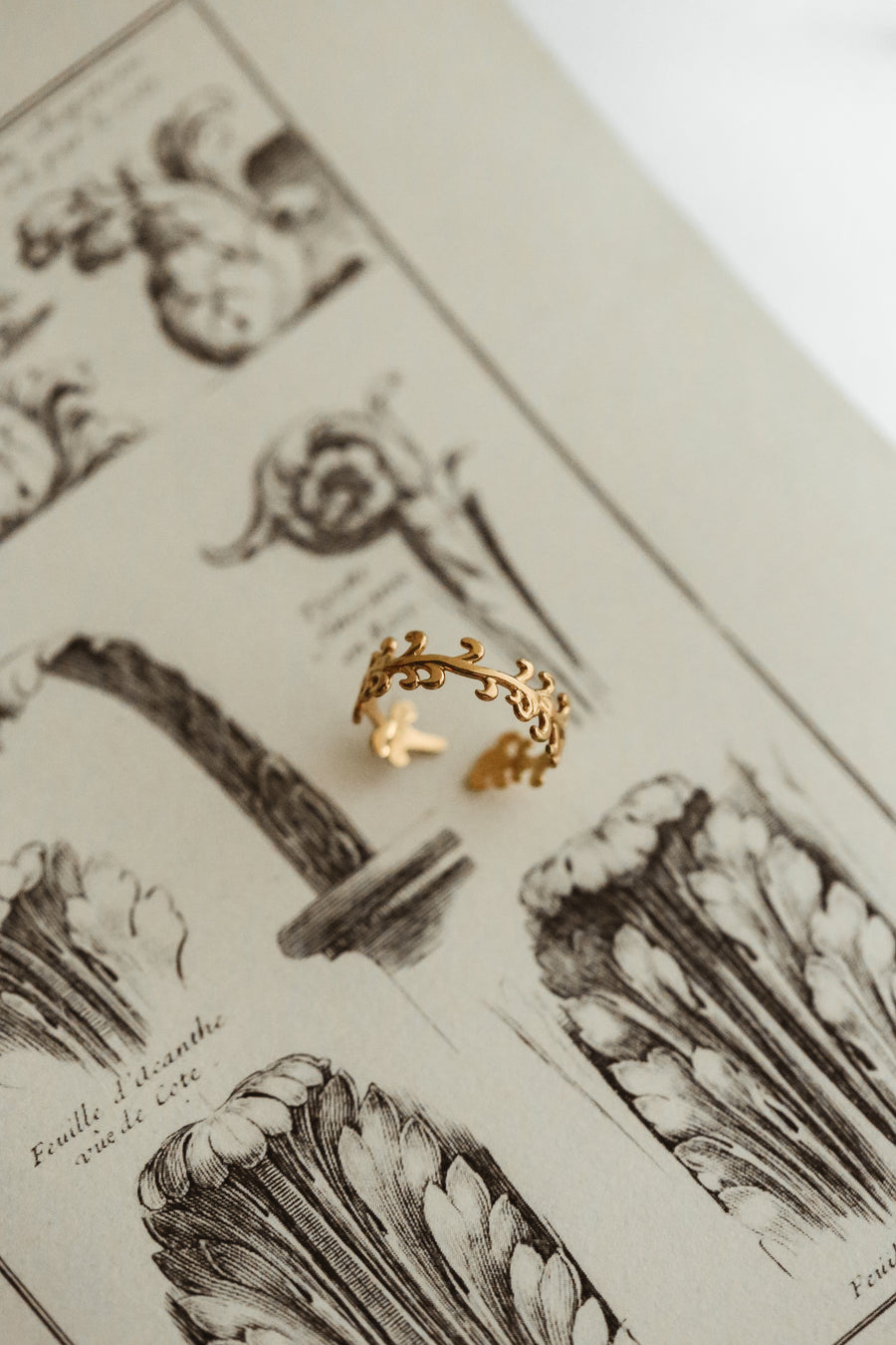 Laurentia Ring