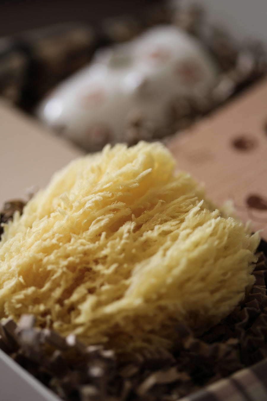 Natural Sea Sponge