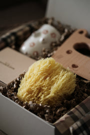 Natural Sea Sponge