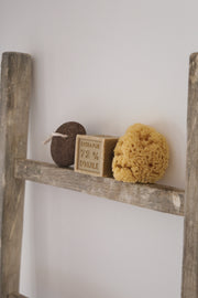 Natural Sea Sponge