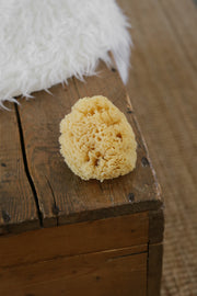 Natural Sea Sponge