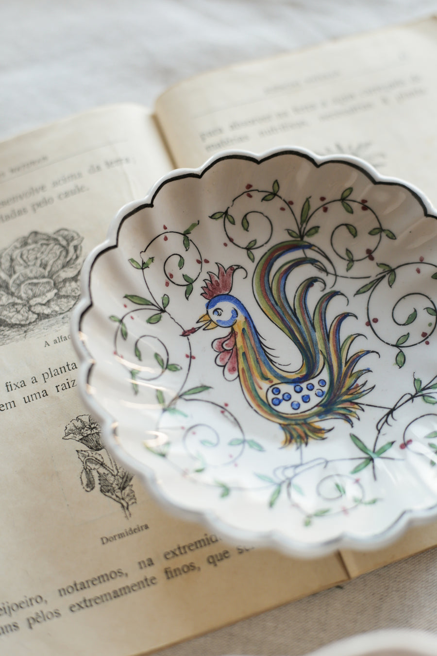 Vintage Hand painted Rooster Dish