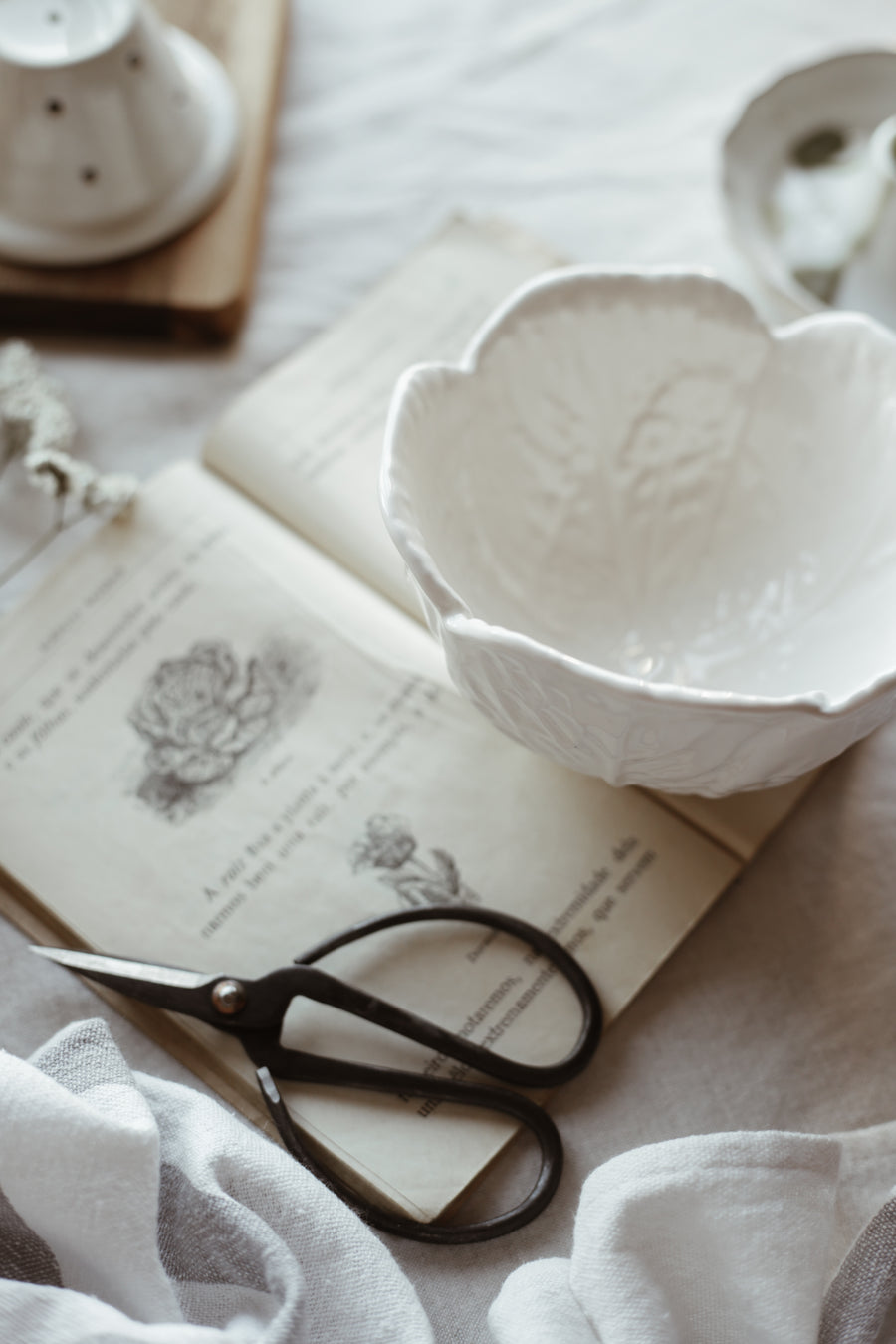 White Cabbage Bowl