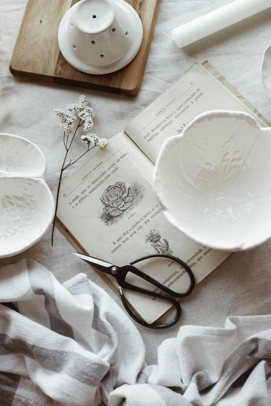 White Cabbage Bowl