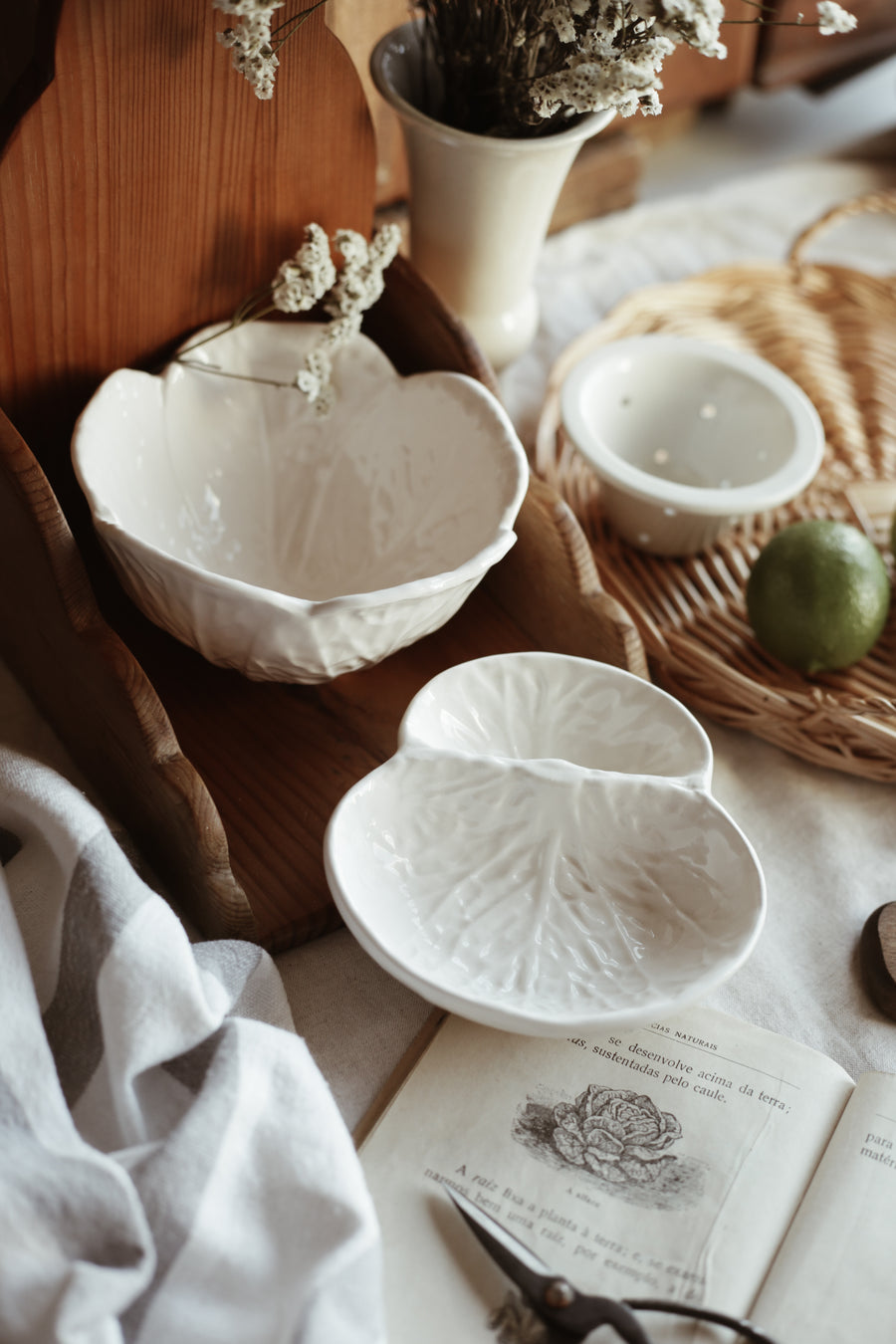 White Cabbage Bowl