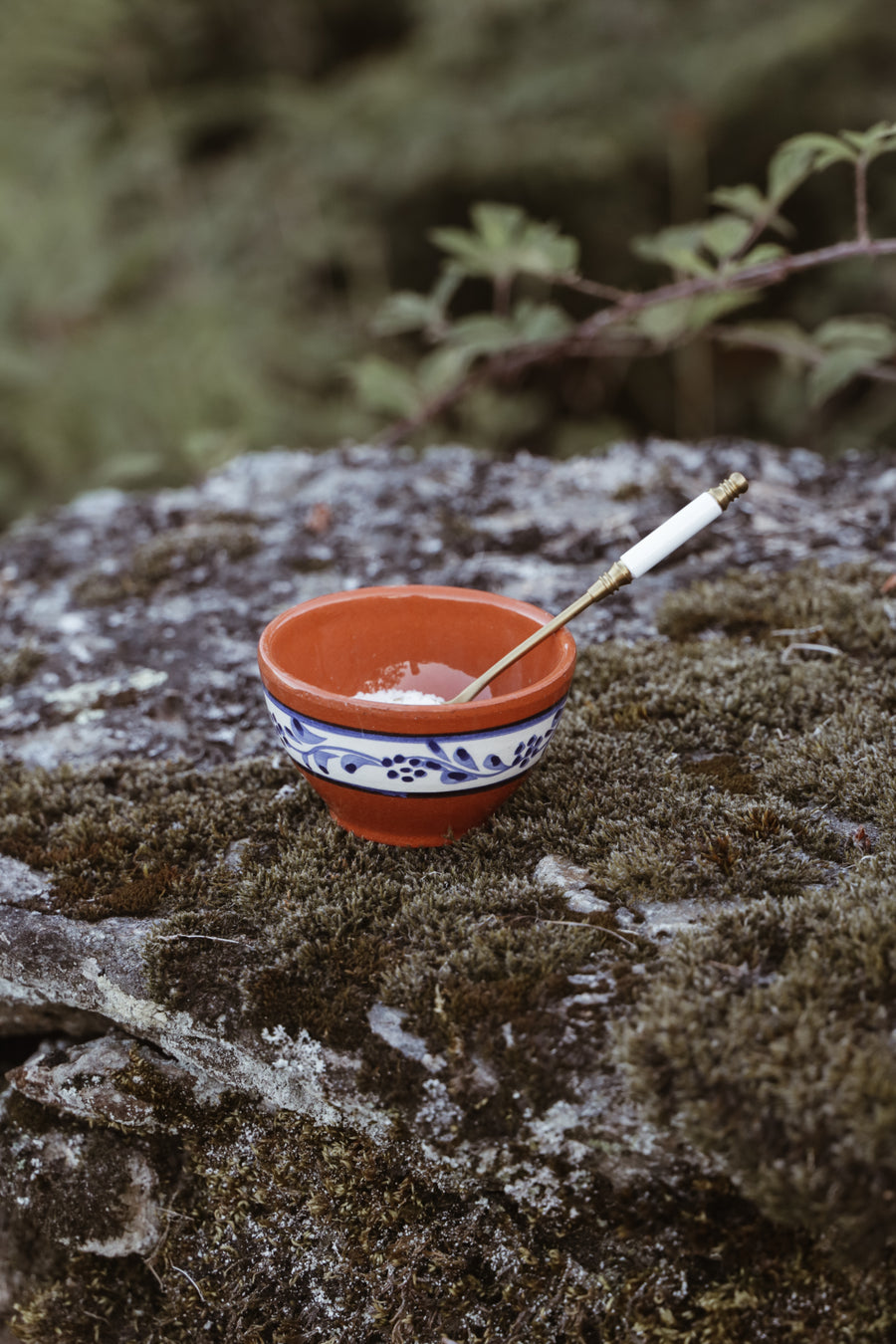 Terracotta Blue & White Hand-painted Bowl III