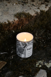 Winter Orchid Ceramic Candle