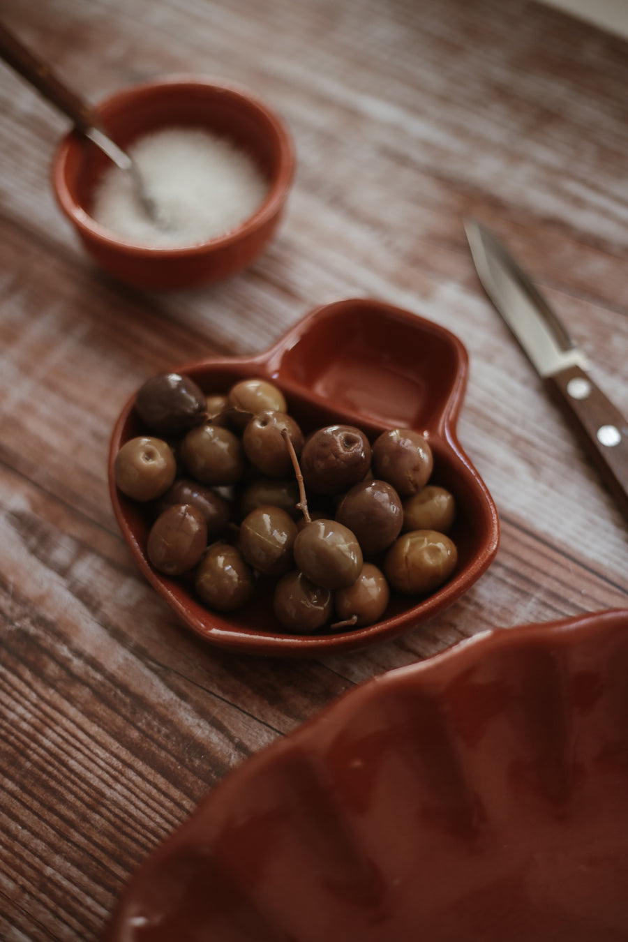 Terracotta Olive Dish