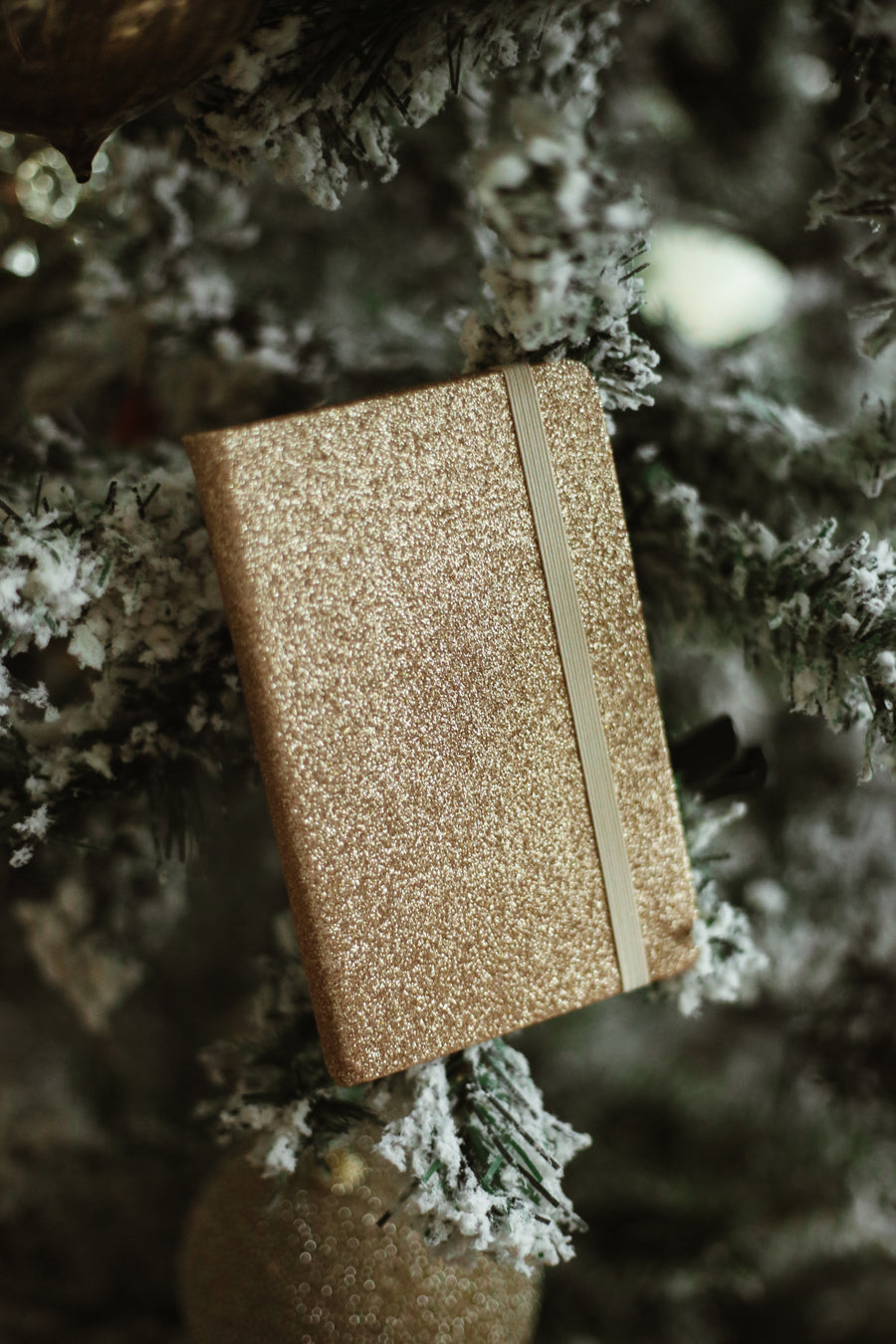 Sparkly Pocket Notebook