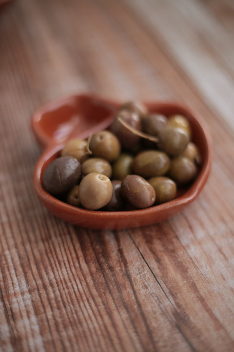 Terracotta Olive Dish