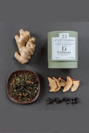 L'infuseur Tea - Nº23 Thé Vert Gingembre